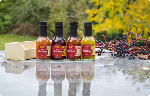 Dárkové balení chilli omáček Čtyři chilli omáčky jako dárek