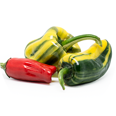 Bryan's Blood Rainbow