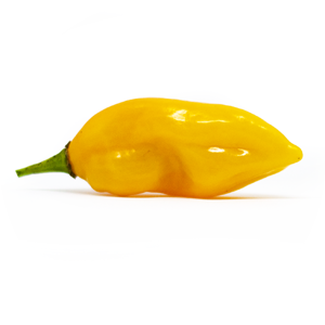 Habanero Bonda