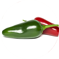 Jalapeno Red Giant