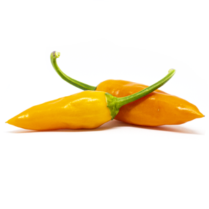 Jalapeno Orange
